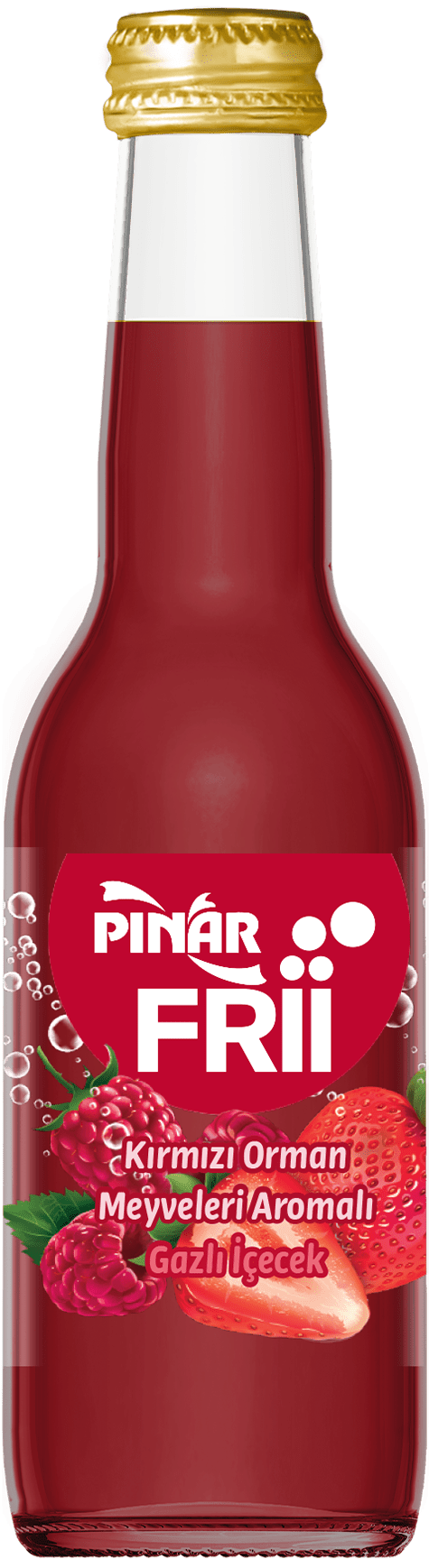 Pınar Frii Kırmızı Orman Meyveleri Aromalı
